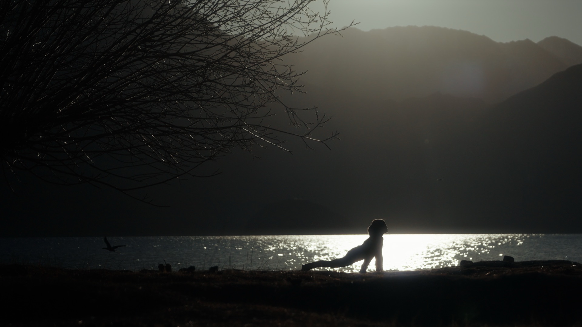Silhouette of a person doing yoga at the edge of a lake, mountains glowing at dusk