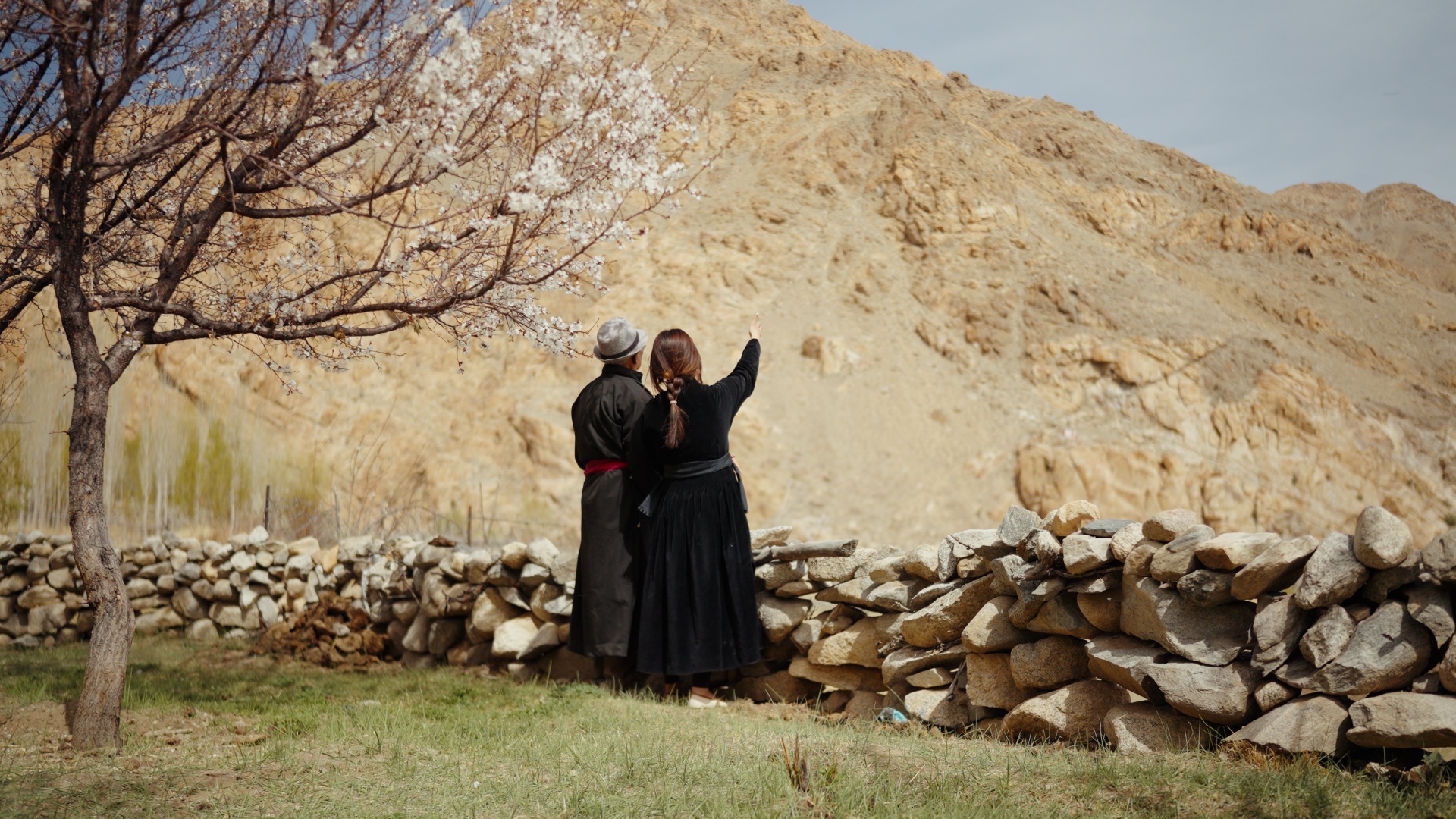 Stanzin and an elder standing beneath a blossoming apricot tree with mountains behind